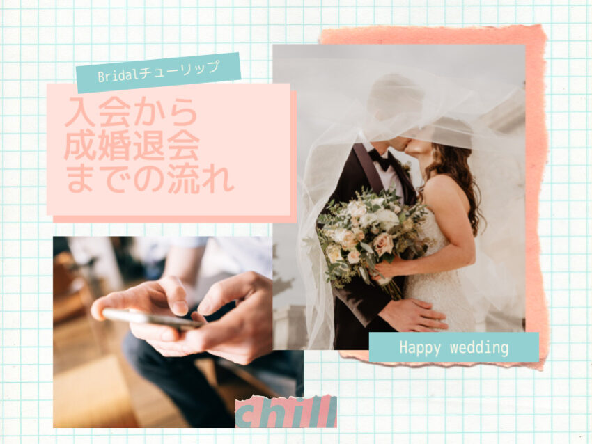 Bridalチューリップの成婚までの流れ