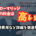 「ヒーローマリッジ」の料金は高い?初期費用など詳細を徹底解説